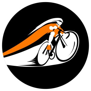 tdf2020 visuel blason01 rvb