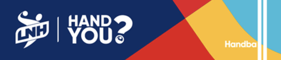 [LNH] Proligue : Situation financière du club de Villeurbanne