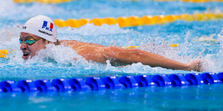 [FF NATATION] La Fédération Française de Natation candidate à l’accueil des Championnats  d’Europe 2026