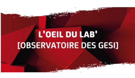 [L'oeil du lab' SPORSORA] Focus sur l'événement voile de l'année : la Route du Rhum - Destination Guadeloupe