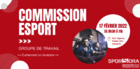 COMMISSION ESPORT  GROUPE DE TRAVAIL