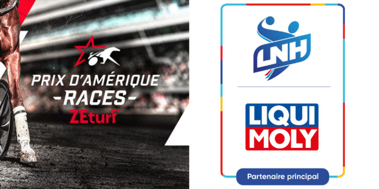 [Lettre du Naming] Entretien avec Jean-François Royer, Directeur Général, WeTeam Group