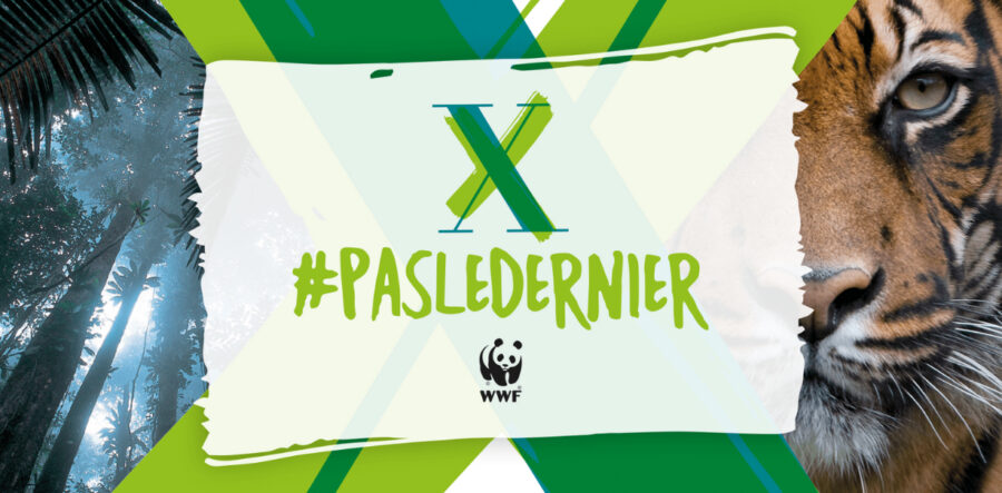 Sport Heroes et le WWF France s’associent pour sensibiliser les sportifs aux enjeux environnementaux