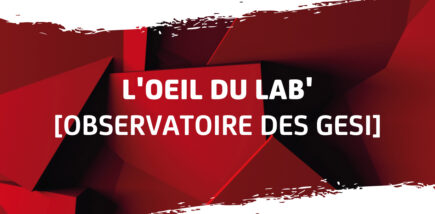 [Observatoire des GESI] L'oeil du Lab'