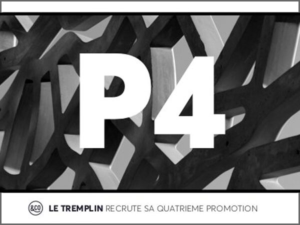 Appel à candidatures - Le Tremplin 2018