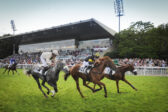 [France Galop] Les courses hippiques, un loisir en progression sur l'ensemble des territoires