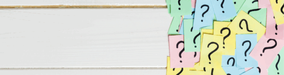 Interviews et Avis d'Experts