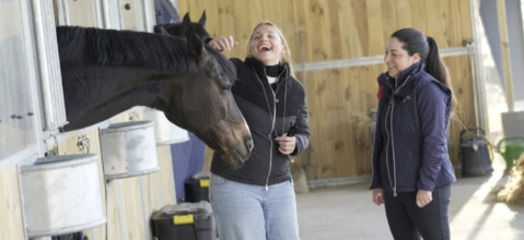 [FF Equitation] Mondiaux 2026 : La FFE lance une campagne de communication forte et originale pour rapprocher les athlètes du grand public